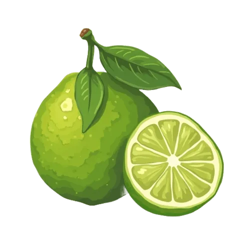 Calabrian bergamot