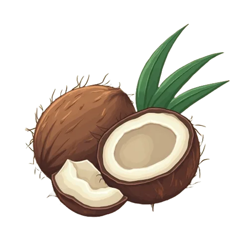 coconut