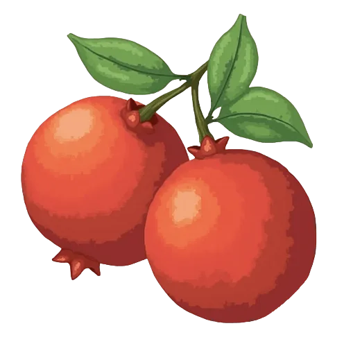 pomegranate