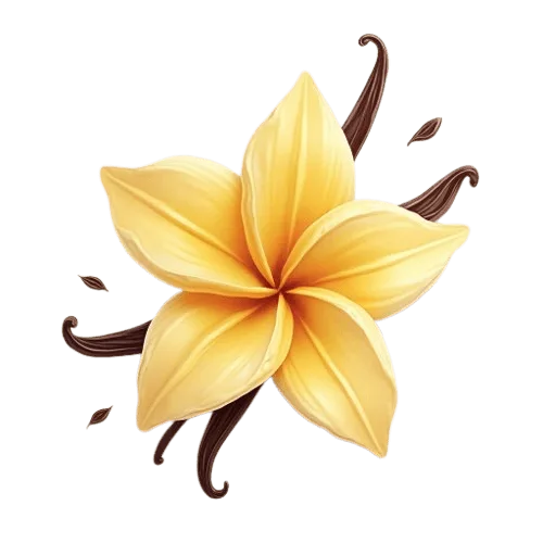 vanilla